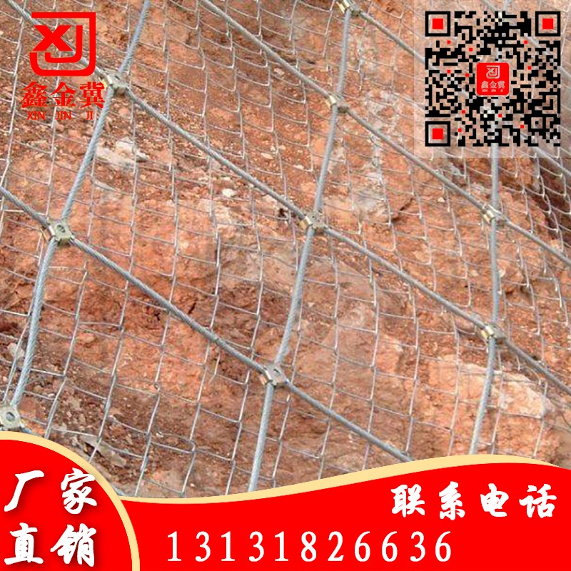 主動(dòng)網(wǎng)、鋼絲繩網(wǎng).jpg