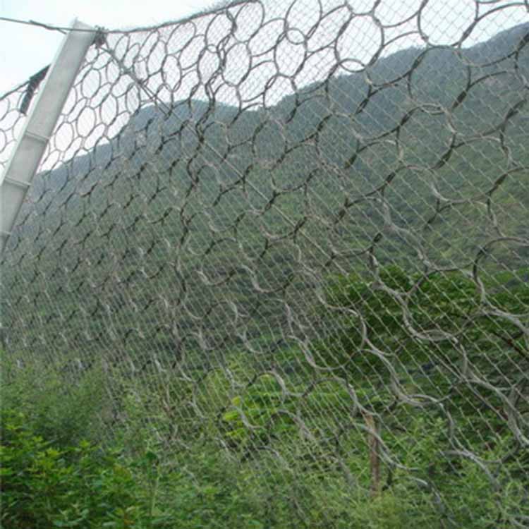 平陽生態(tài)綠化被動網(wǎng) 愛喇叭網(wǎng).jpg